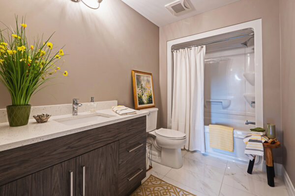 Basement Bathroom